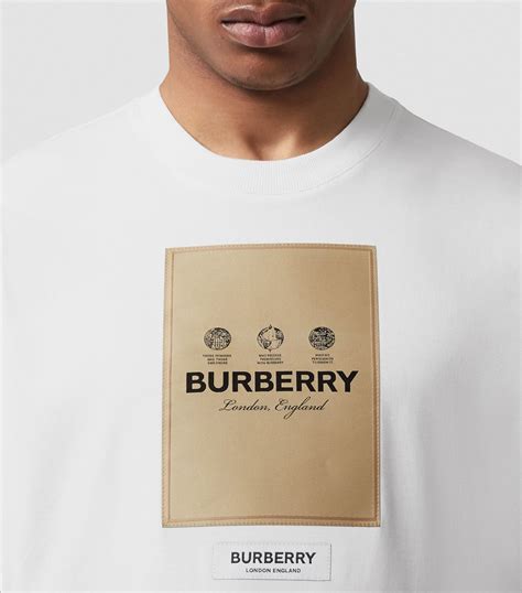 burberry t-shirts price in india|burberry oversized t shirt.